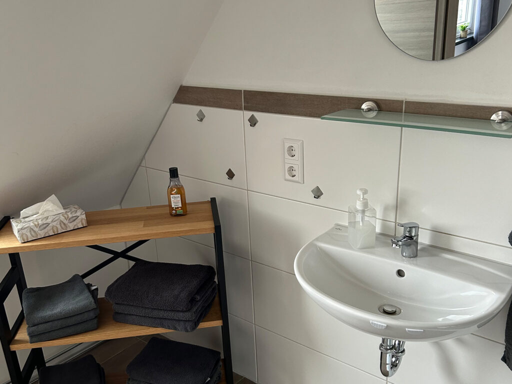 Blick in das Badezimmer einer Ferienwohnung im Sehusa Living Apartments in Seesen.